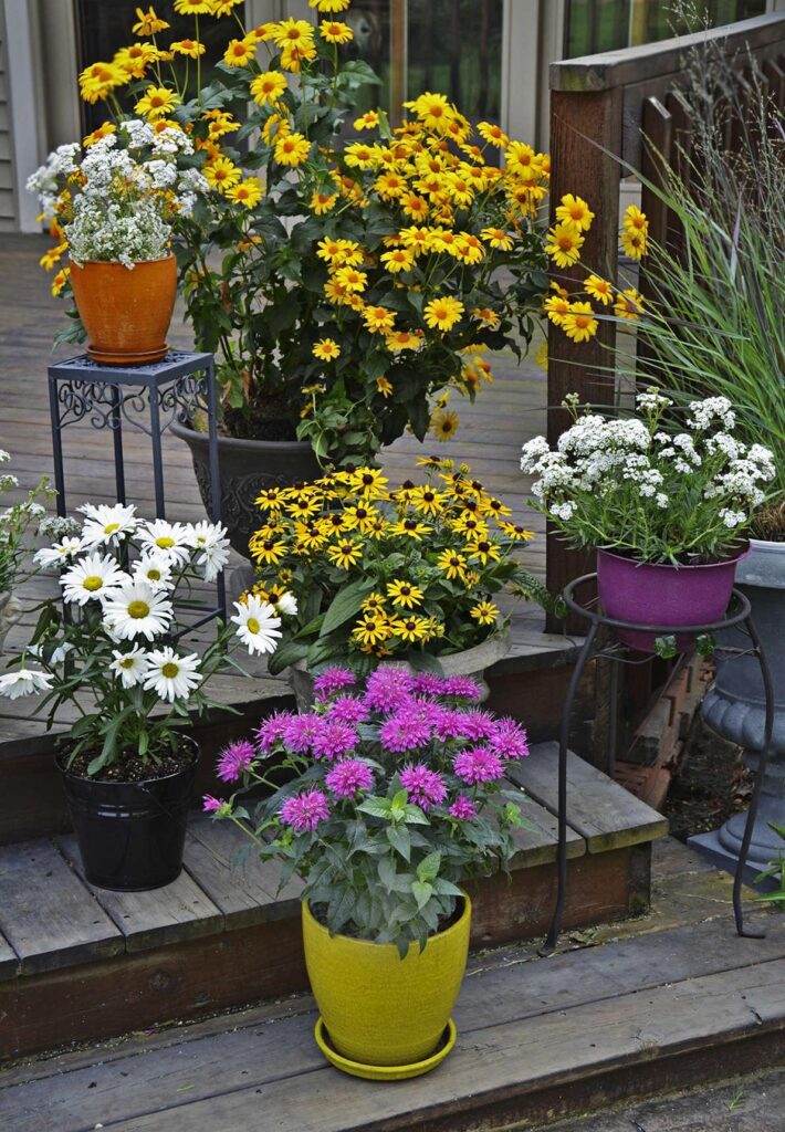 Functional Container Gardens